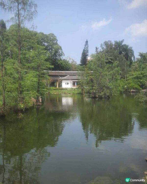 北區公園 秘境尋幽 🌳 💧 🌸