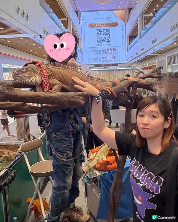 2026週末好去處 🐍《另類寵物世界2026》展覽🦎