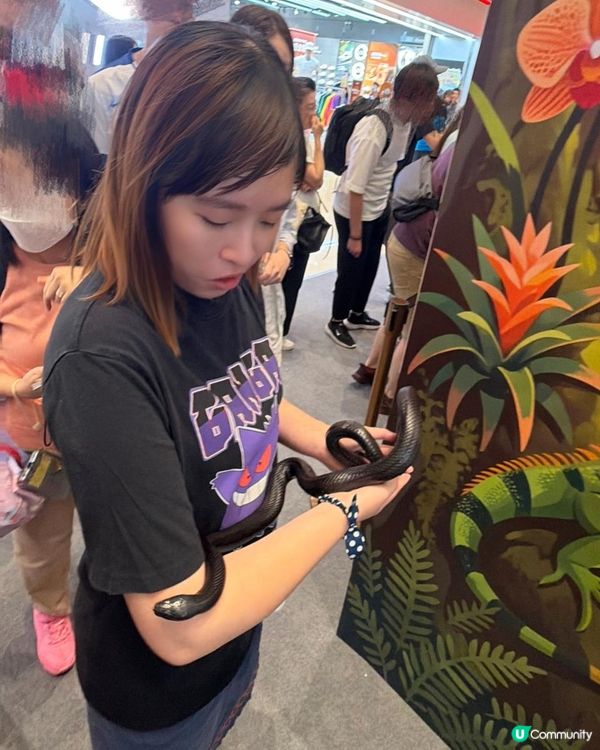 2026週末好去處 🐍《另類寵物世界2026》展覽🦎