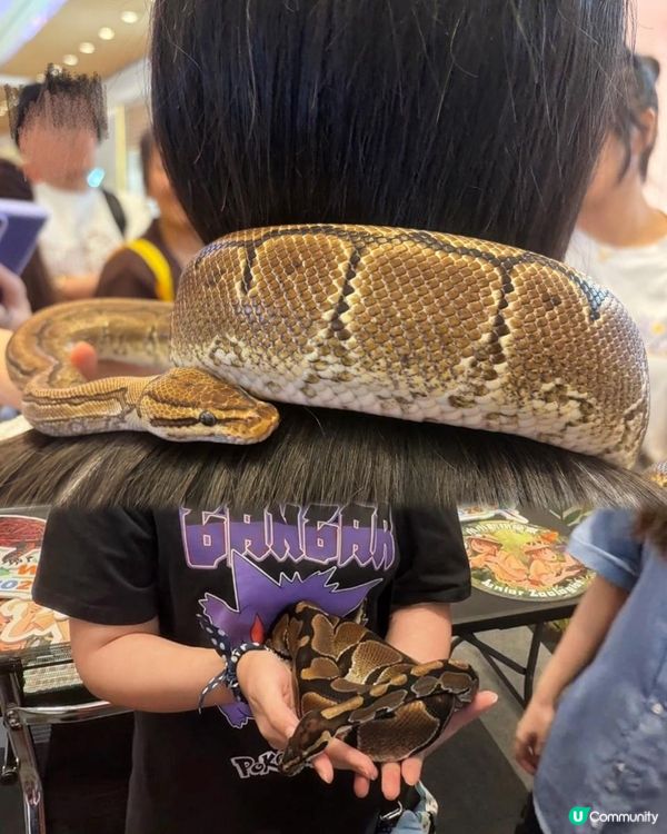2026週末好去處 🐍《另類寵物世界2026》展覽🦎