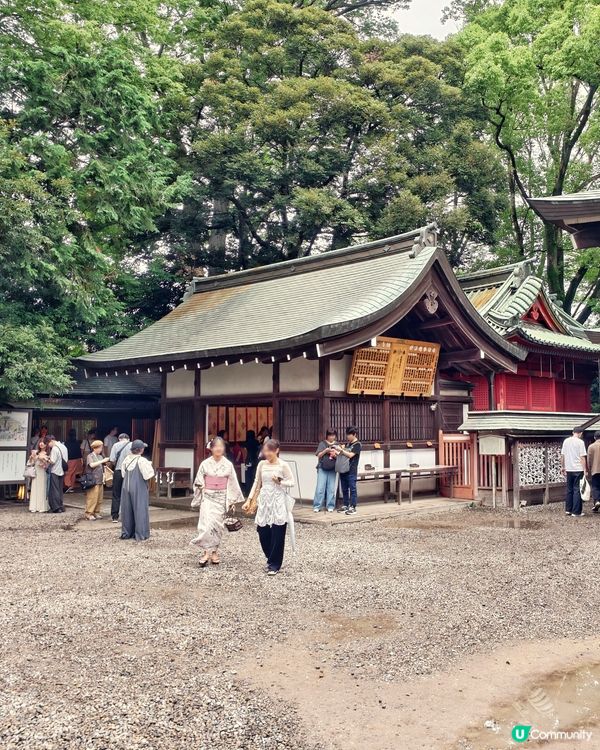 有得🎣釣魚😆嘅⛩️神社