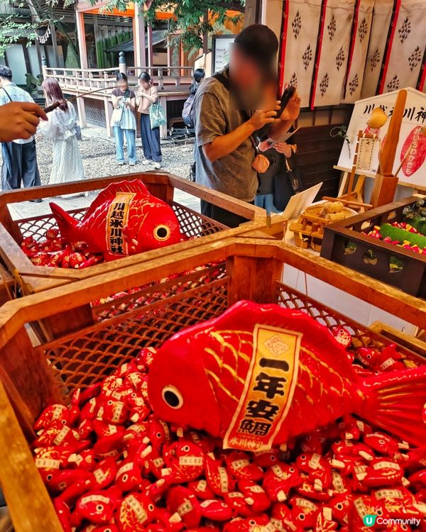 有得🎣釣魚😆嘅⛩️神社