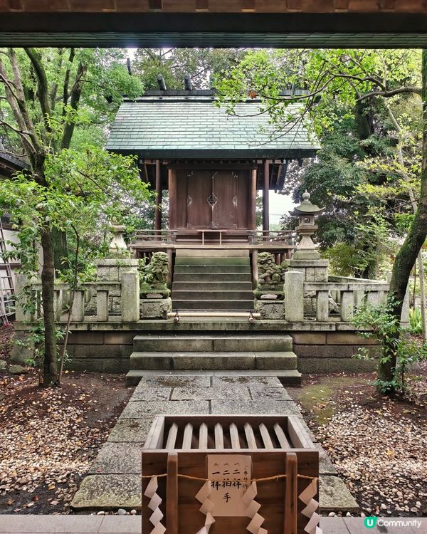 有得🎣釣魚😆嘅⛩️神社