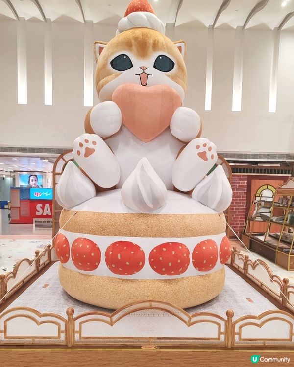 貓貓喫茶店🇯🇵☁️打卡熱點！🐱💖