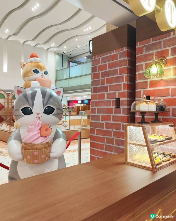 貓貓喫茶店🇯🇵☁️打卡熱點！🐱💖
