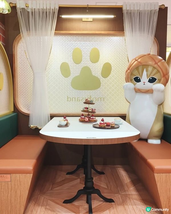 貓貓喫茶店🇯🇵☁️打卡熱點！🐱💖