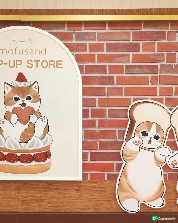 貓貓喫茶店🇯🇵☁️打卡熱點！🐱💖