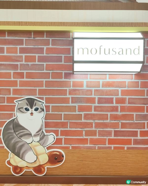 貓貓喫茶店🇯🇵☁️打卡熱點！🐱💖