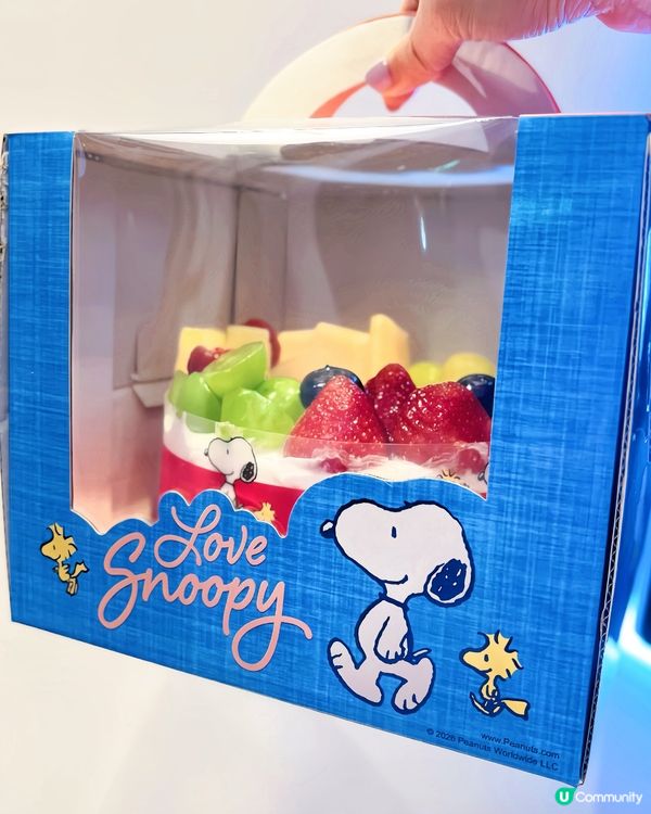 Snoopy控注意‼️