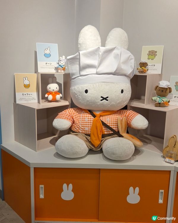 北海道小樽買到手軟！🛒🥳Miffy-Part 1