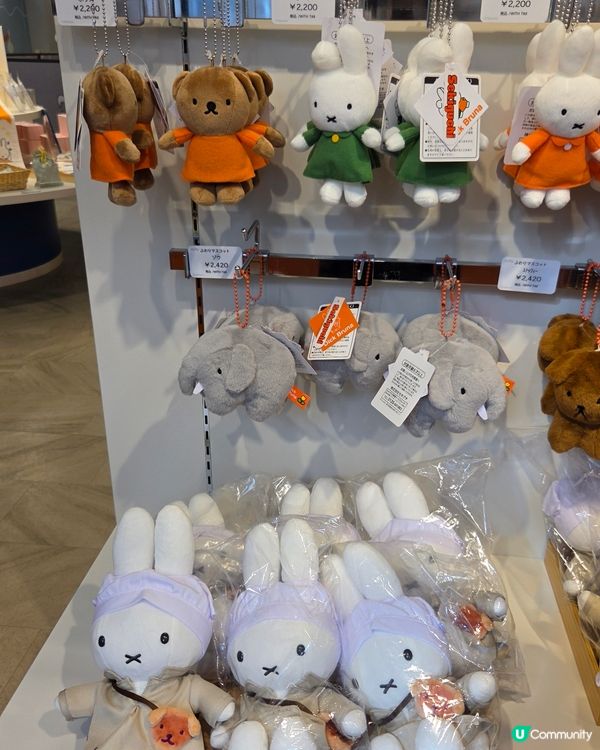 北海道小樽買到手軟！🛒🥳Miffy-Part 1