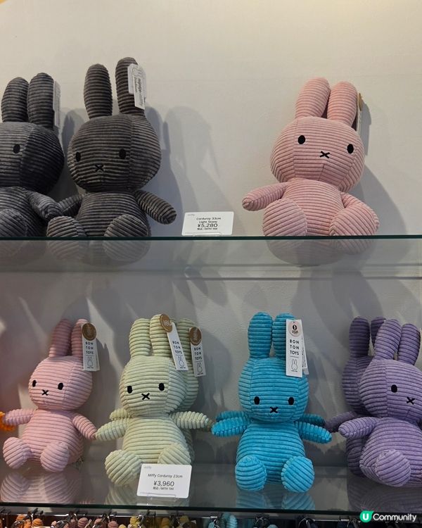小樽有寶藏！💯🤤 買到手軟！Miffy😍Part 2