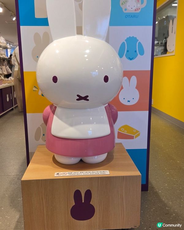 小樽有寶藏！💯🤤 買到手軟！Miffy😍Part 2