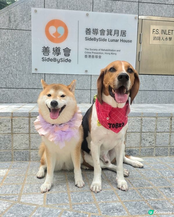 狗狗嘅陪伴果然有著神奇的治癒力量！睇到每位受惠人士臉上都掛滿...