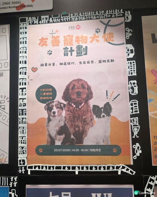 狗狗嘅陪伴果然有著神奇的治癒力量！睇到每位受惠人士臉上都掛滿...