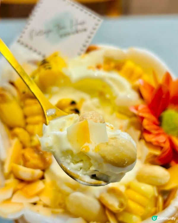 🇹🇭 元朗排隊泰菜名店!｢芭堤雅泰國餐館｣地道泰味 + 爆汁...