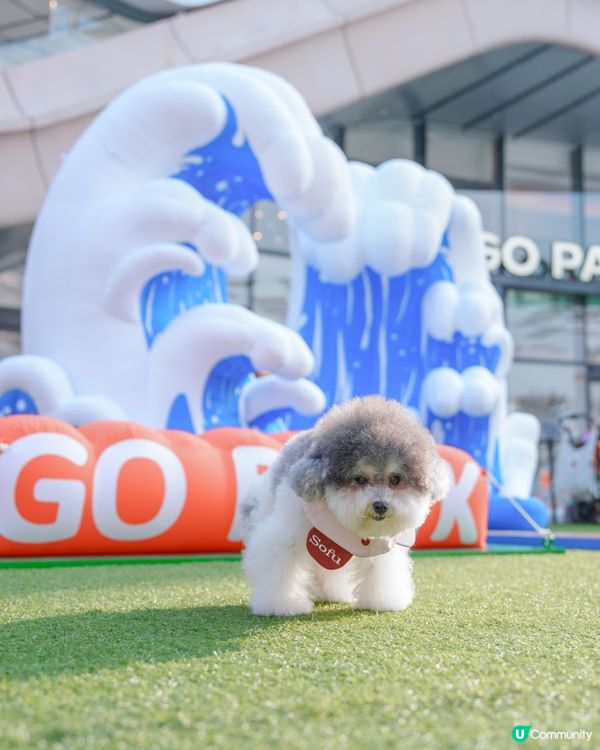 投奔初夏 💦 狗狗嬉水「萌寵動感夏運會」登場🏆