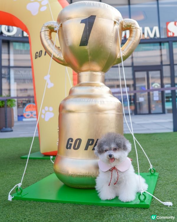 投奔初夏 💦 狗狗嬉水「萌寵動感夏運會」登場🏆