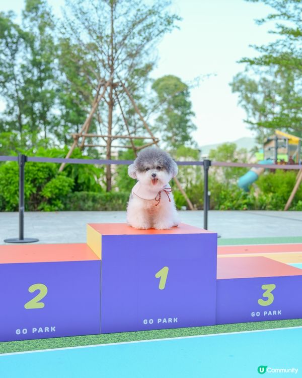 投奔初夏 💦 狗狗嬉水「萌寵動感夏運會」登場🏆
