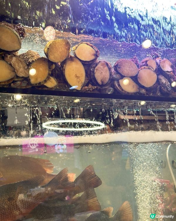 想去尖沙咀食阿爺八鮮鍋好耐,見親人食啲海鮮同火鍋配料都好吸引...