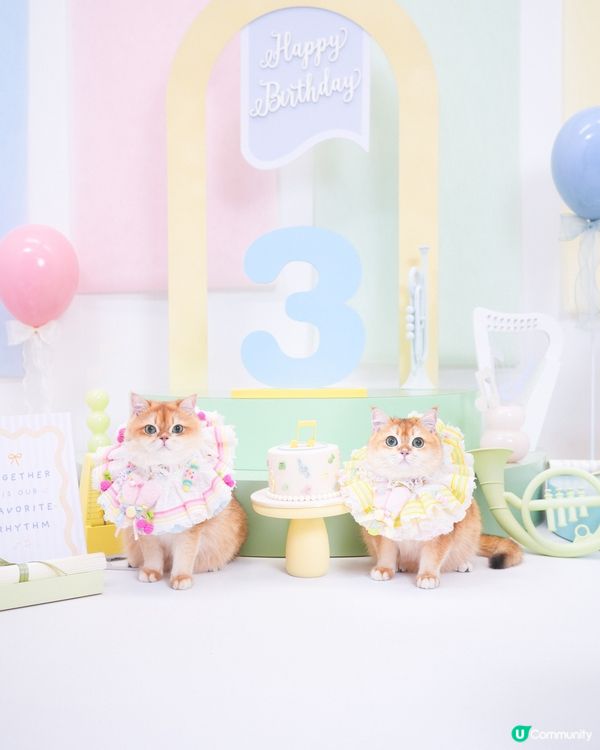 🎂一年一度生日特輯📸✨🌈