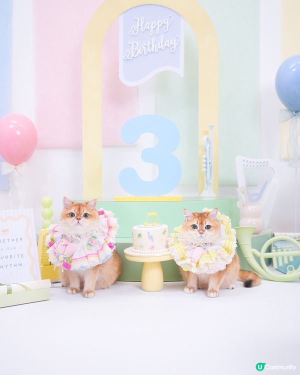 🎂一年一度生日特輯📸✨🌈