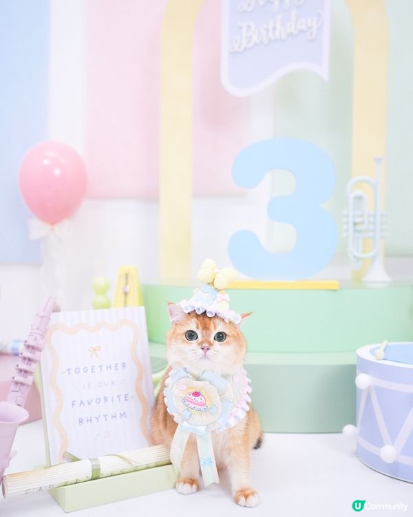 🎂一年一度生日特輯📸✨🌈