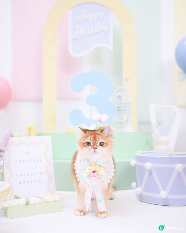 🎂一年一度生日特輯📸✨🌈