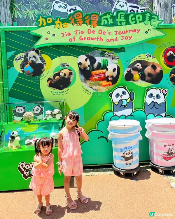 海洋公園大熊貓生日大派對