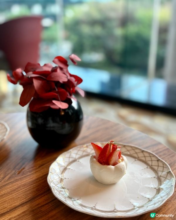 不能錯過的《茶園》下午茶