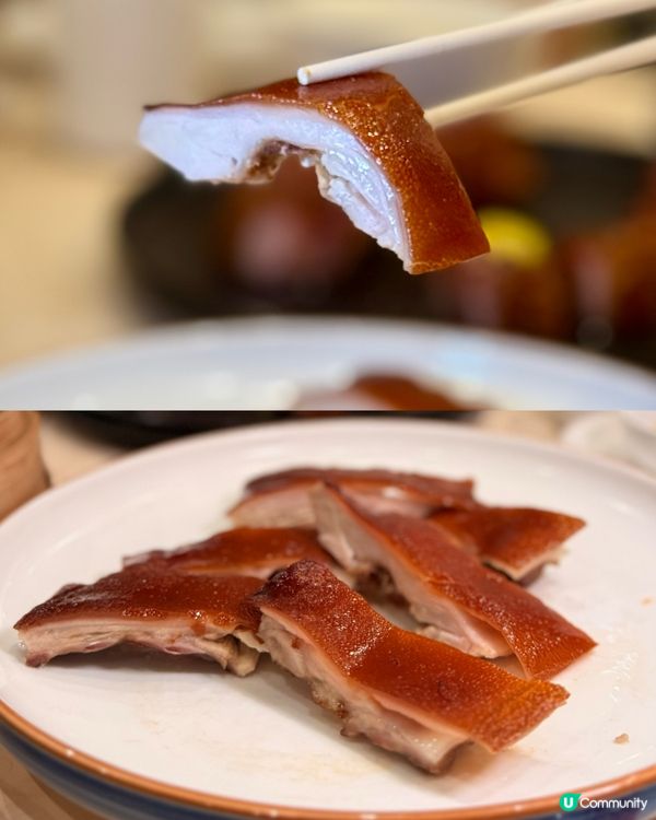 銅鑼灣寵物友善高質粵菜 傳統爐火即燒乳豬!