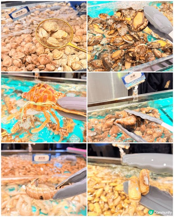 📣海鮮控一定要嚟🦐🍲