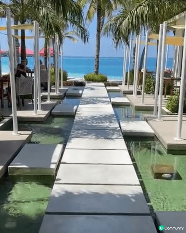 這些是在馬爾代夫度蜜月旅行的相片。我們入住了一家一價全包的高...