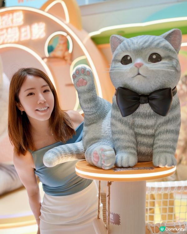 來探可愛小貓迷🐈