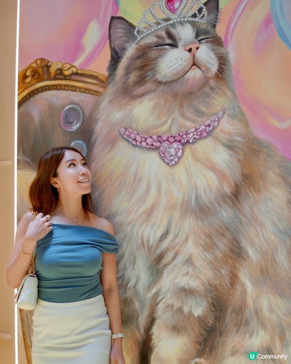 來探可愛小貓迷🐈