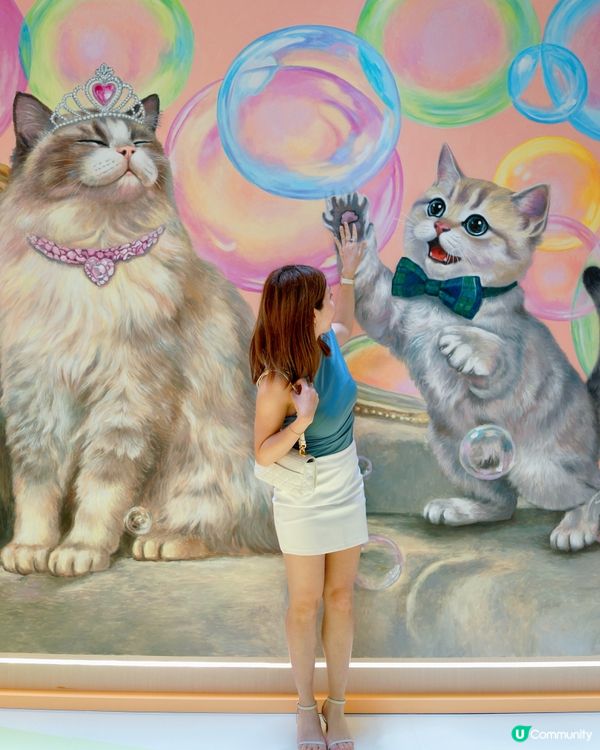 來探可愛小貓迷🐈