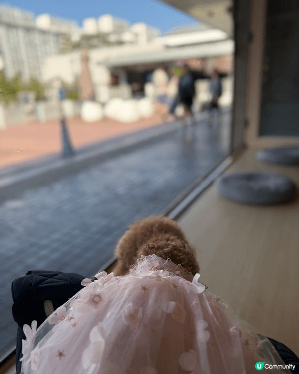 大埔隱世小店 Cafe 