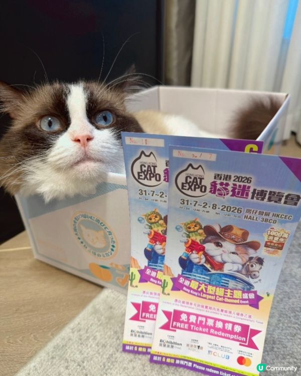 準備去會展幫主子實現罐罐自由🥫✨