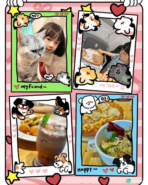 這間是cat cafe，亮點除咗貓貓之外，Pizza Jui...