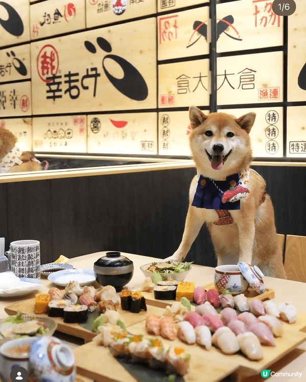新店情報🌟
