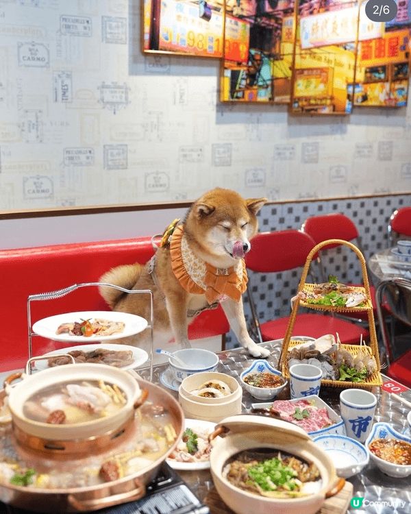 新店情報🌟
