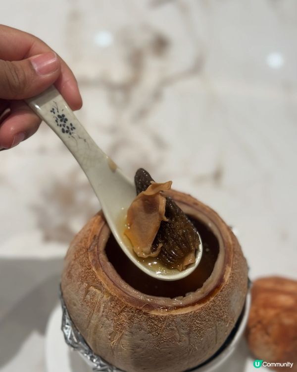文樂園荃灣必食😋✨