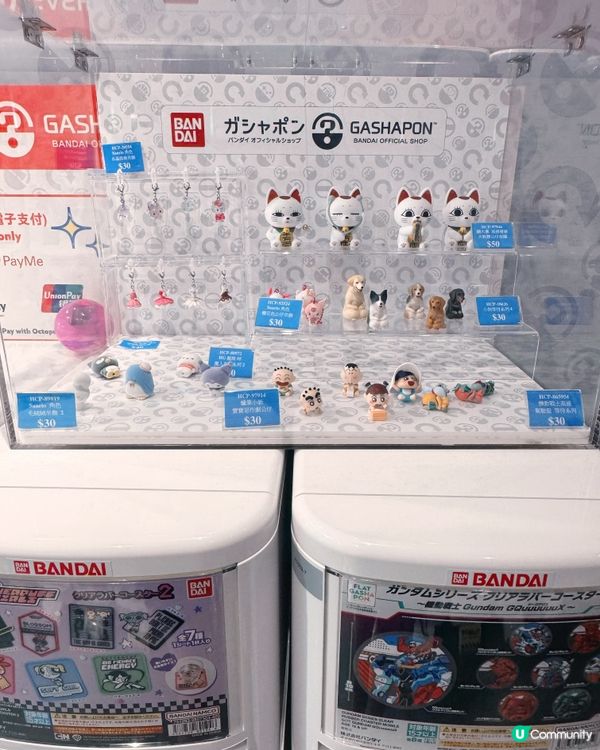 T1萬代扭蛋店24小時開放