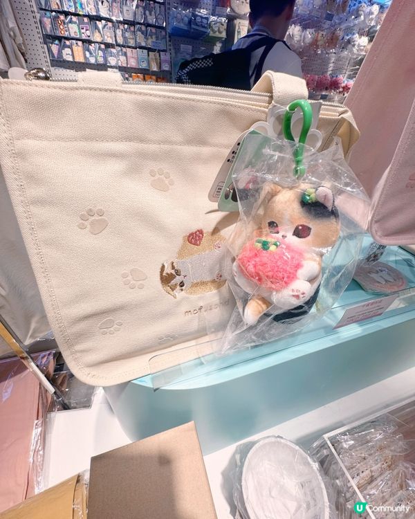 早機晚機都買到日本直送精品