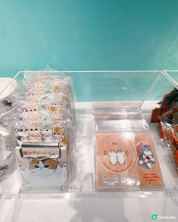 早機晚機都買到日本直送精品