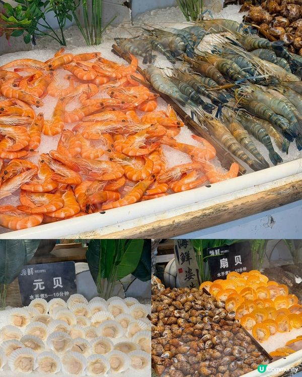 羅湖東門10年老字號海鮮火鍋