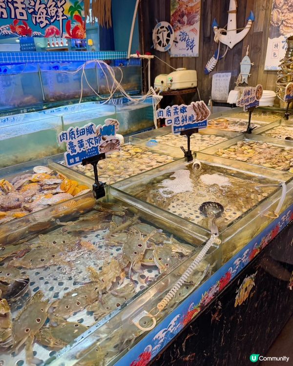 羅湖東門10年老字號海鮮火鍋
