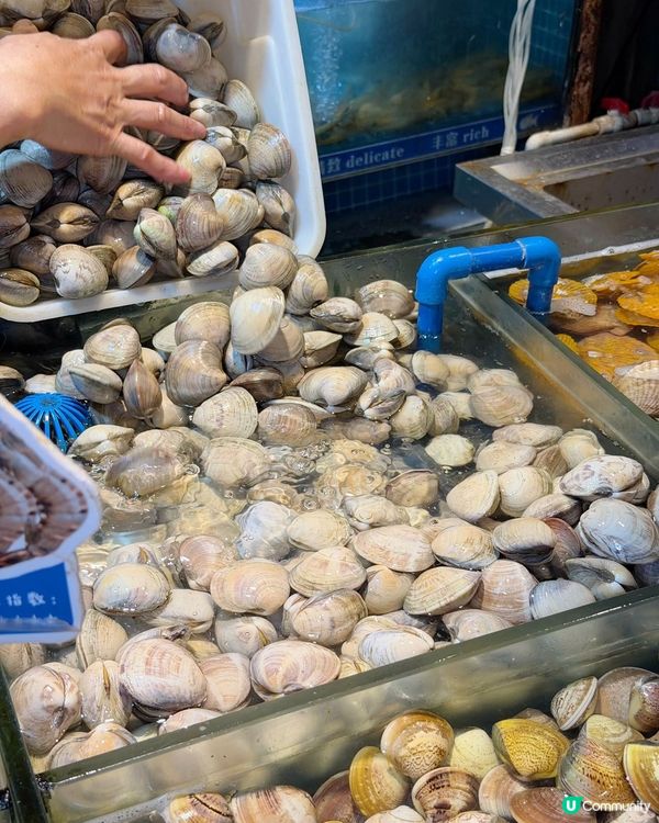 羅湖東門10年老字號海鮮火鍋