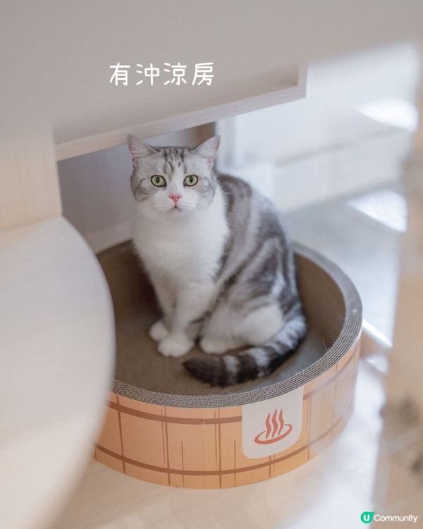 豆花豬貓酒店初體驗，首次入住獨家9折！
