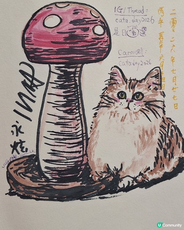 磨菇